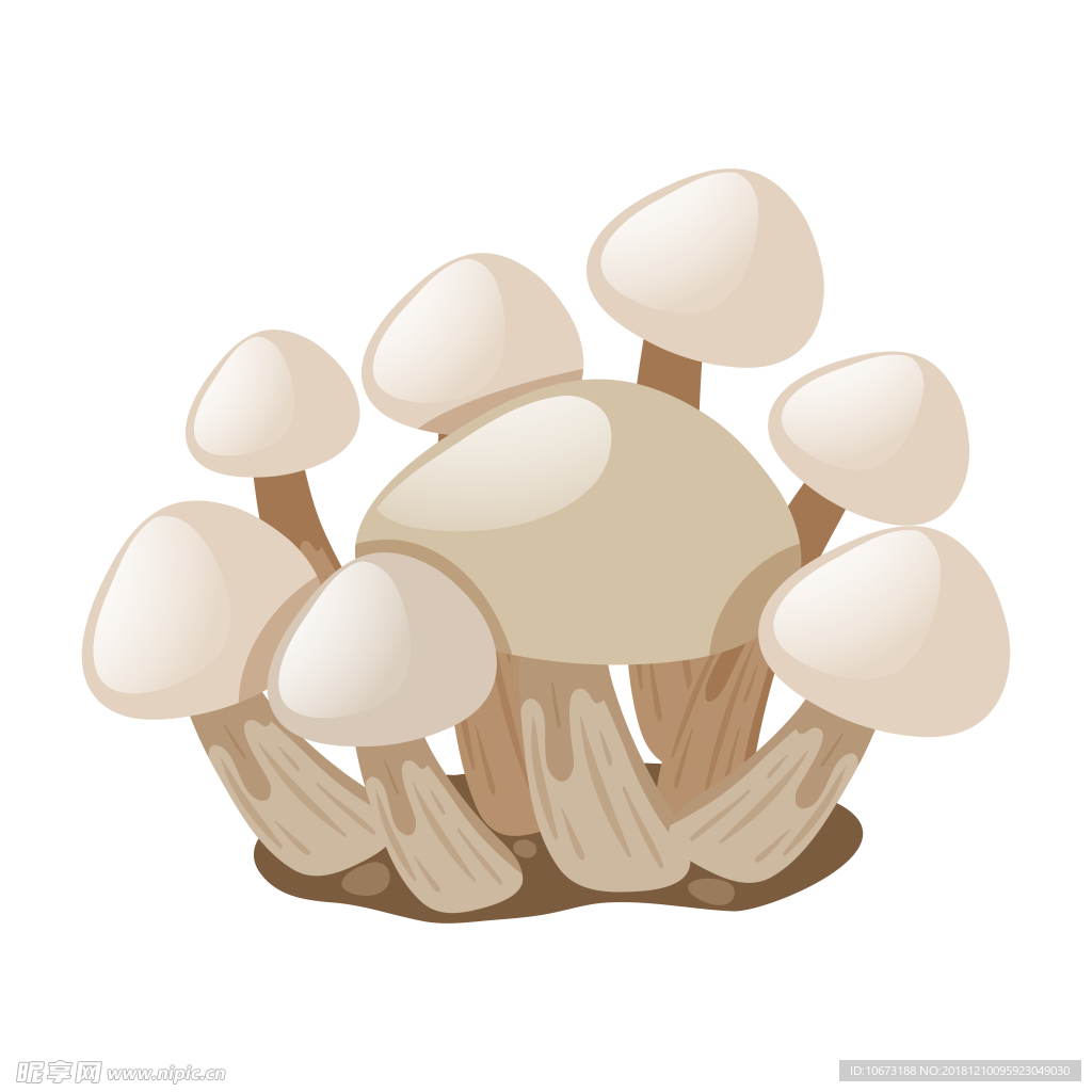 卡通蔬菜图片