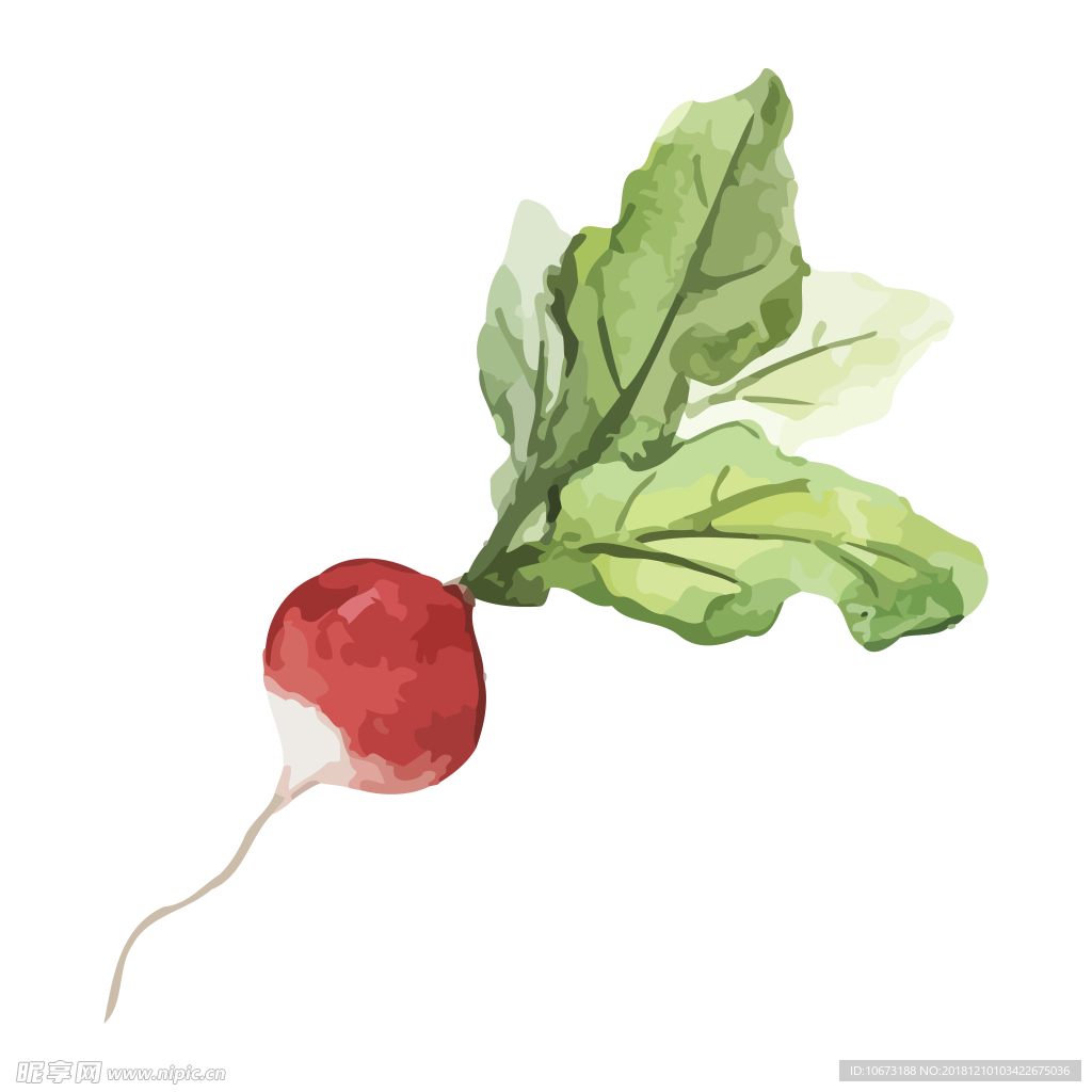 卡通蔬菜图片