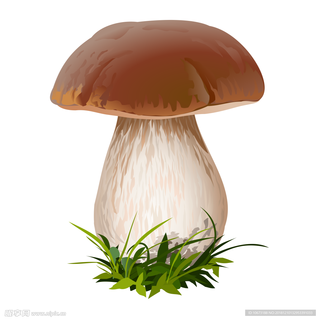 卡通蔬菜图片