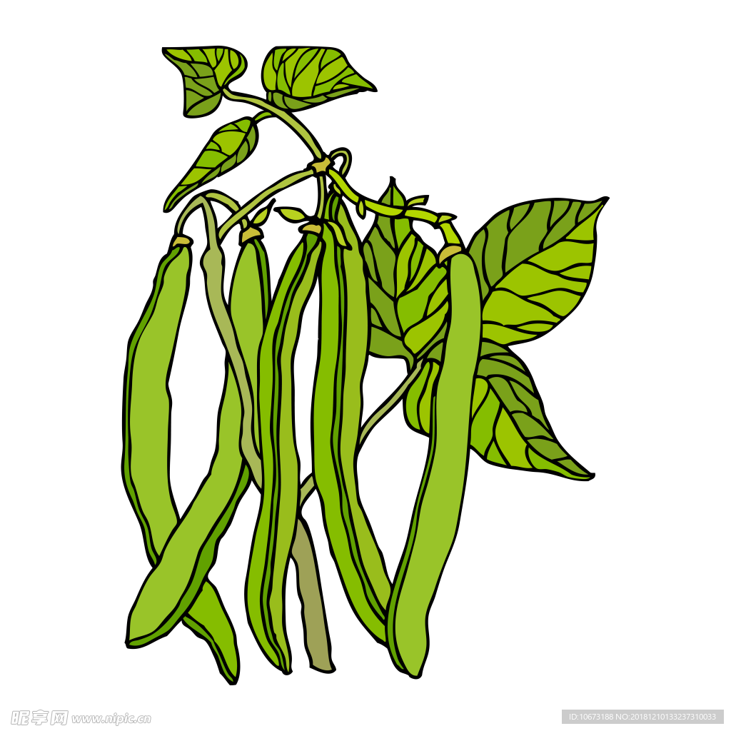卡通蔬菜图片