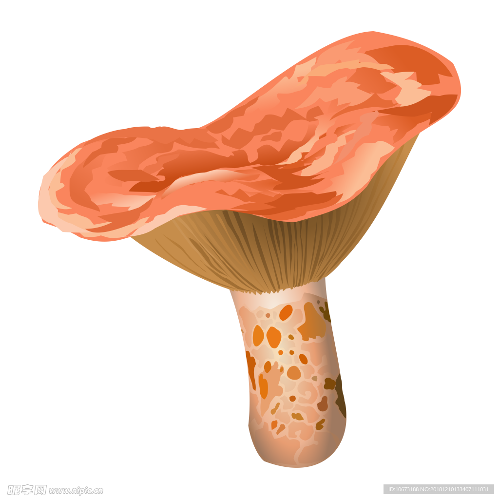 卡通蔬菜图片