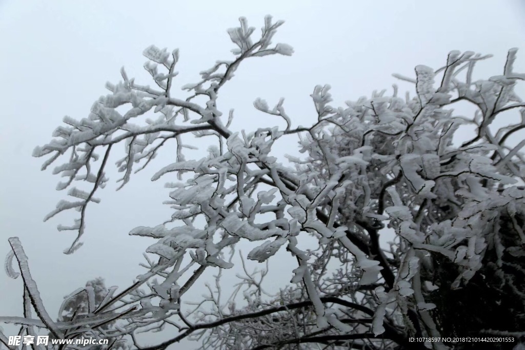 雪天风景