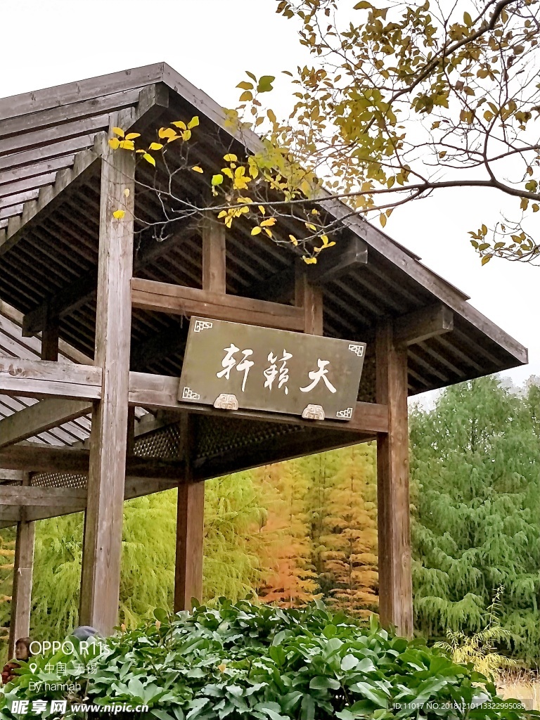 秋天