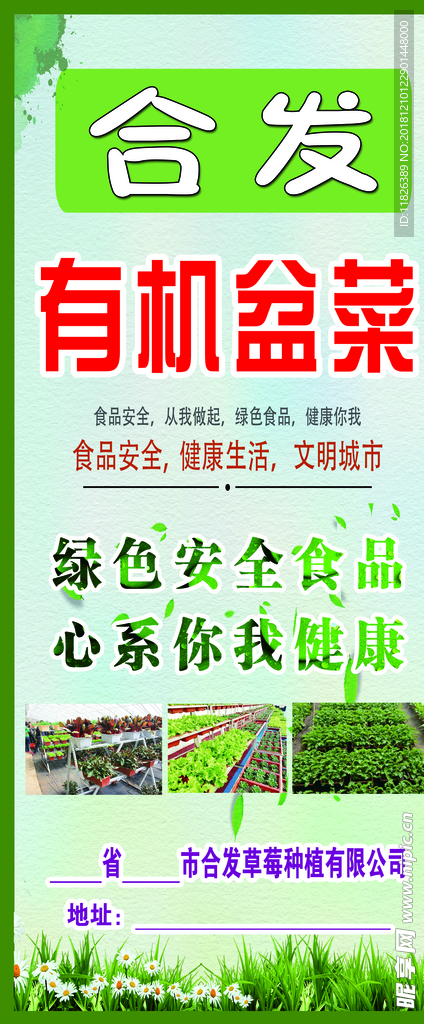 有机蔬菜