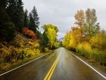 森理公路
