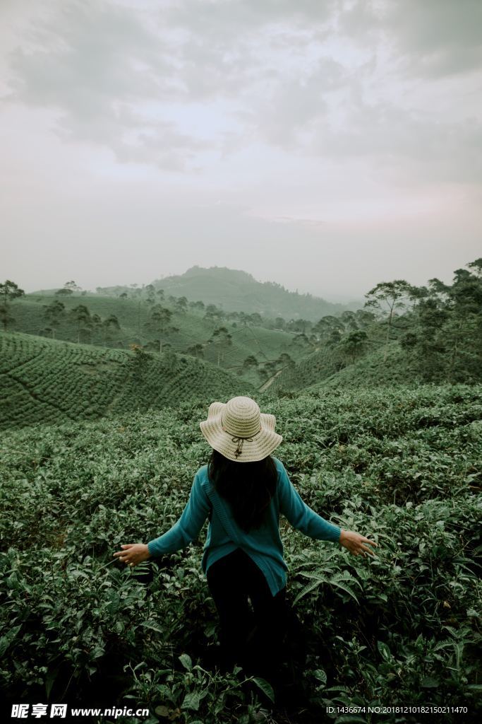 茶山