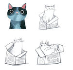 猫咪