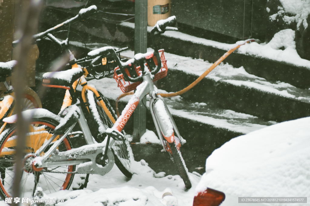 雪中的共享单车
