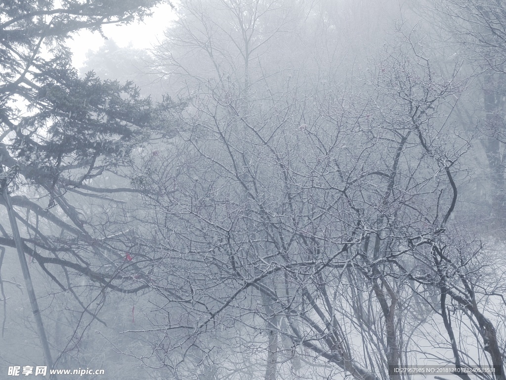 雪景