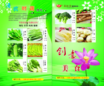 菜谱设计