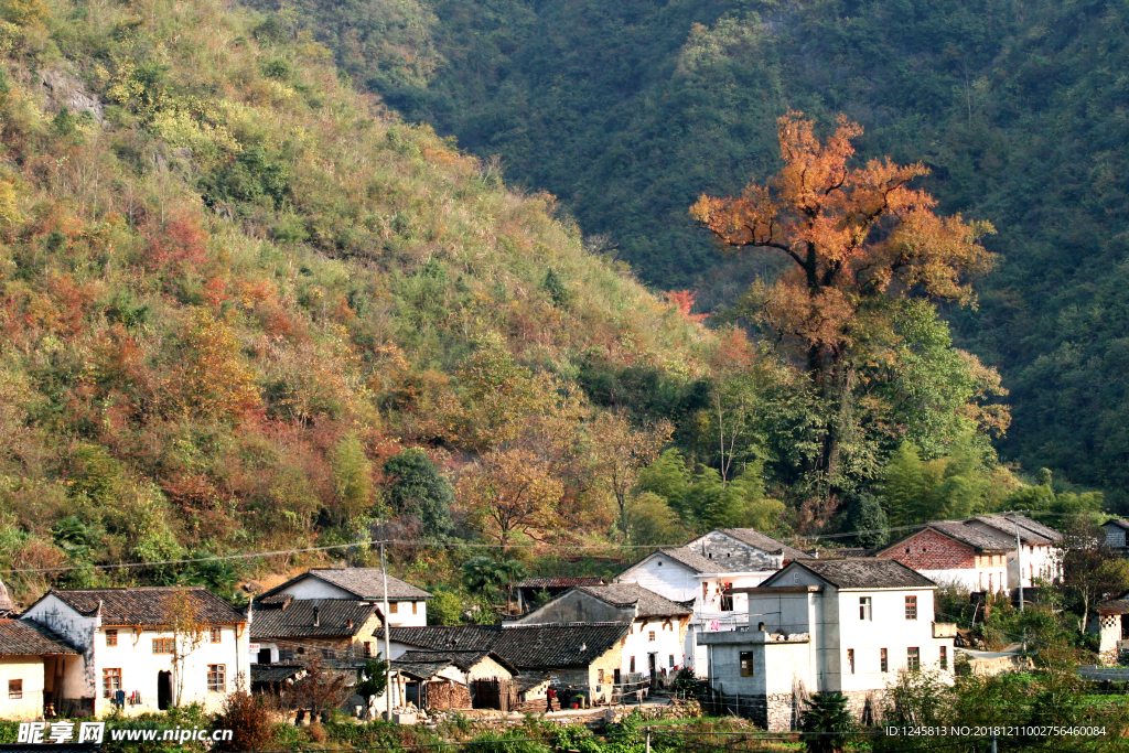 深山人家