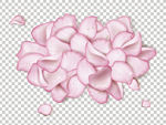 花瓣