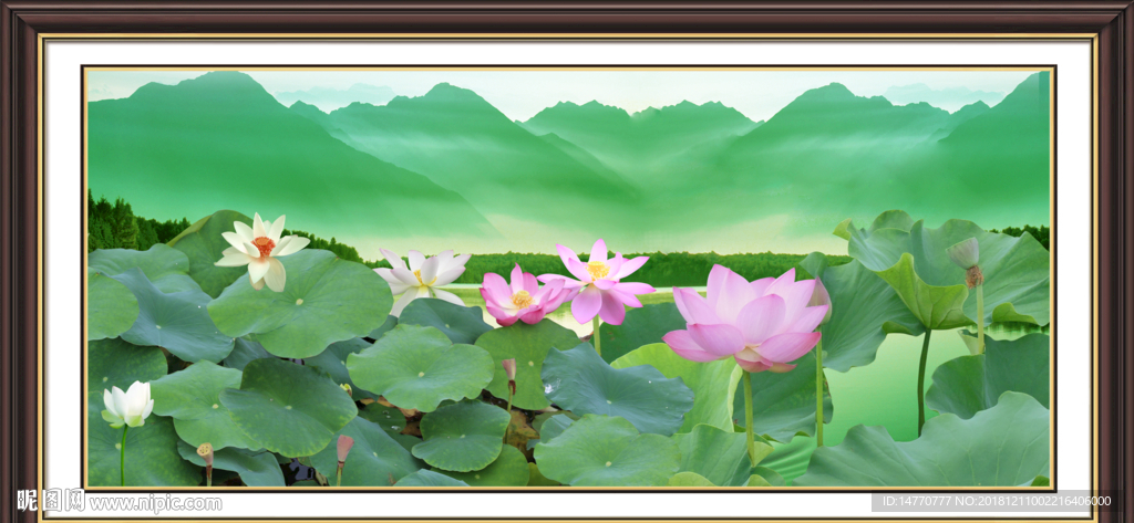 国画荷花