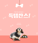 宠物狗