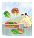 买菜