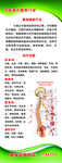 中医理疗