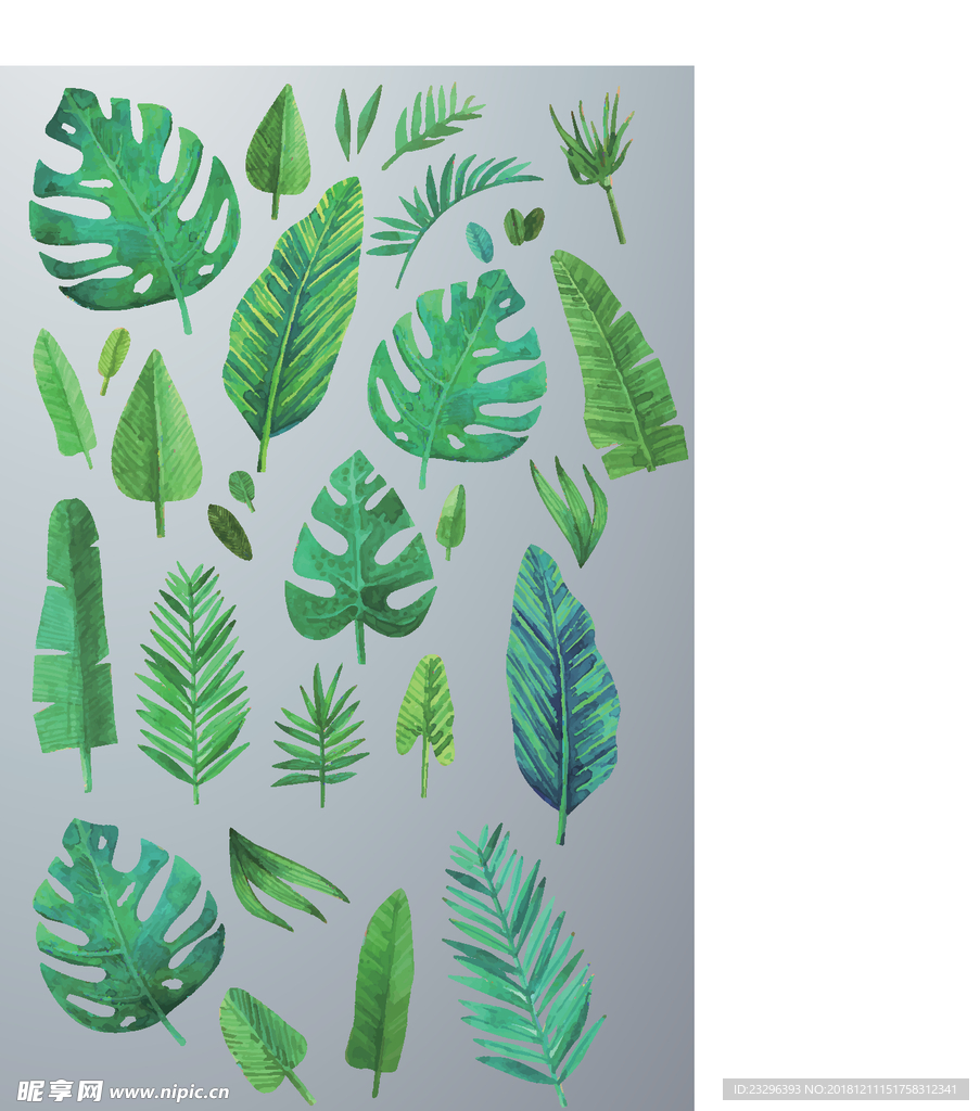 绿色植物