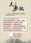 人参肽保健彩页