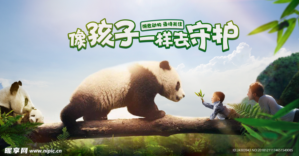 动物与人