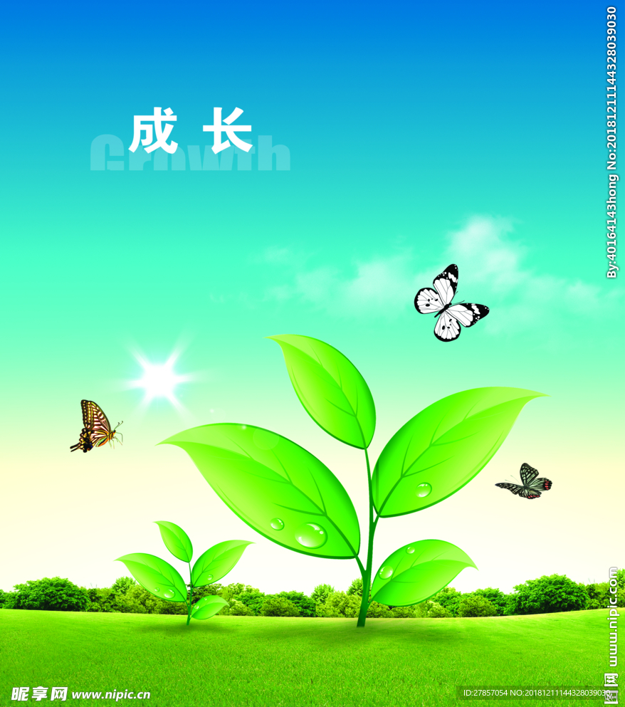成长