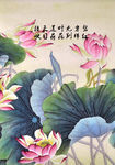 工笔荷花