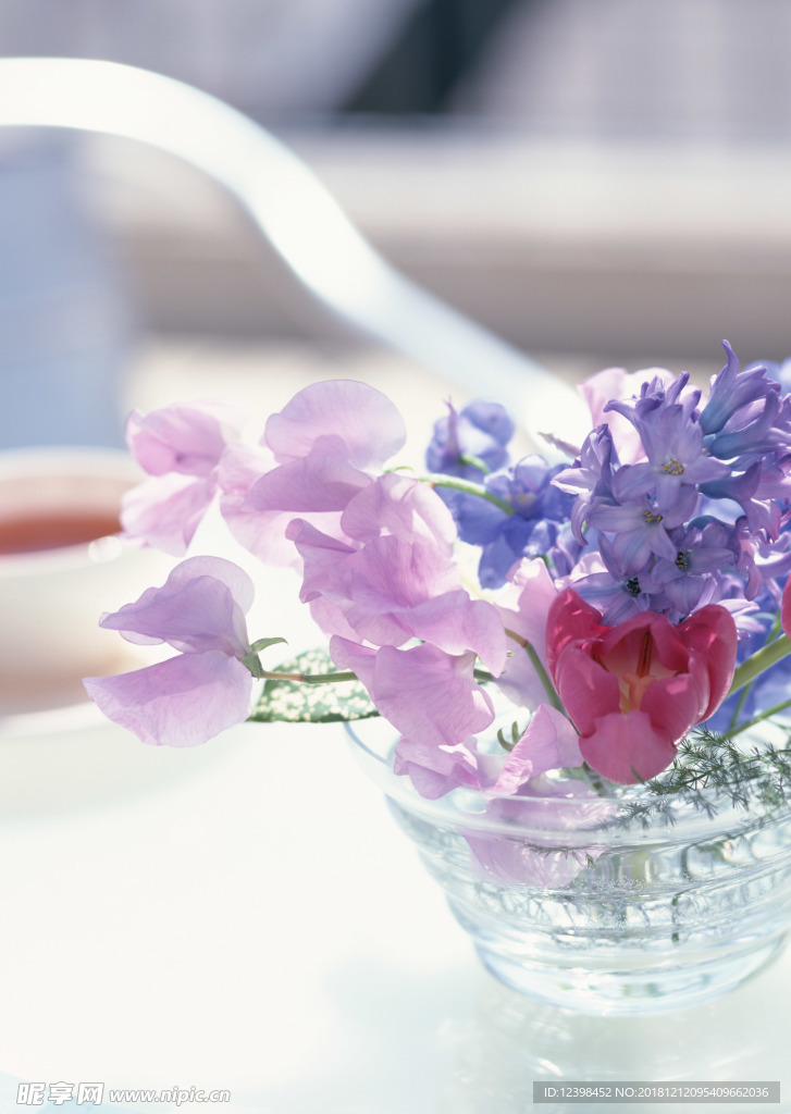 风信子鲜花