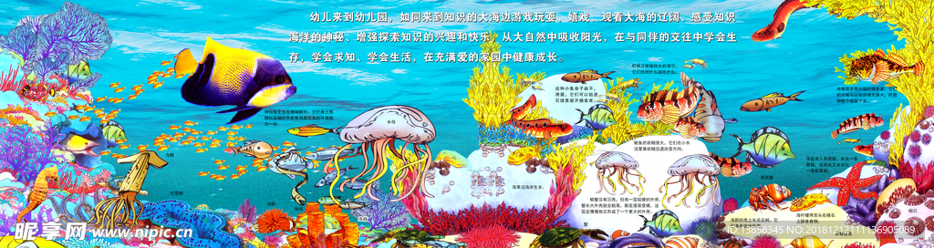 海洋生物