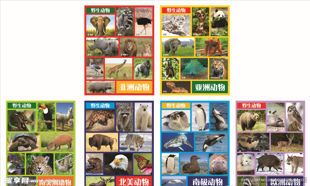 动物海报设计