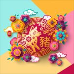 2019猪年海报