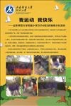 校园展板