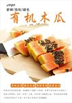 木瓜海报