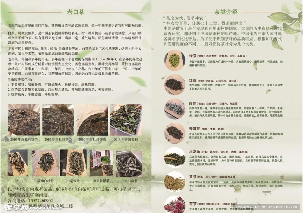 茶叶A4对折