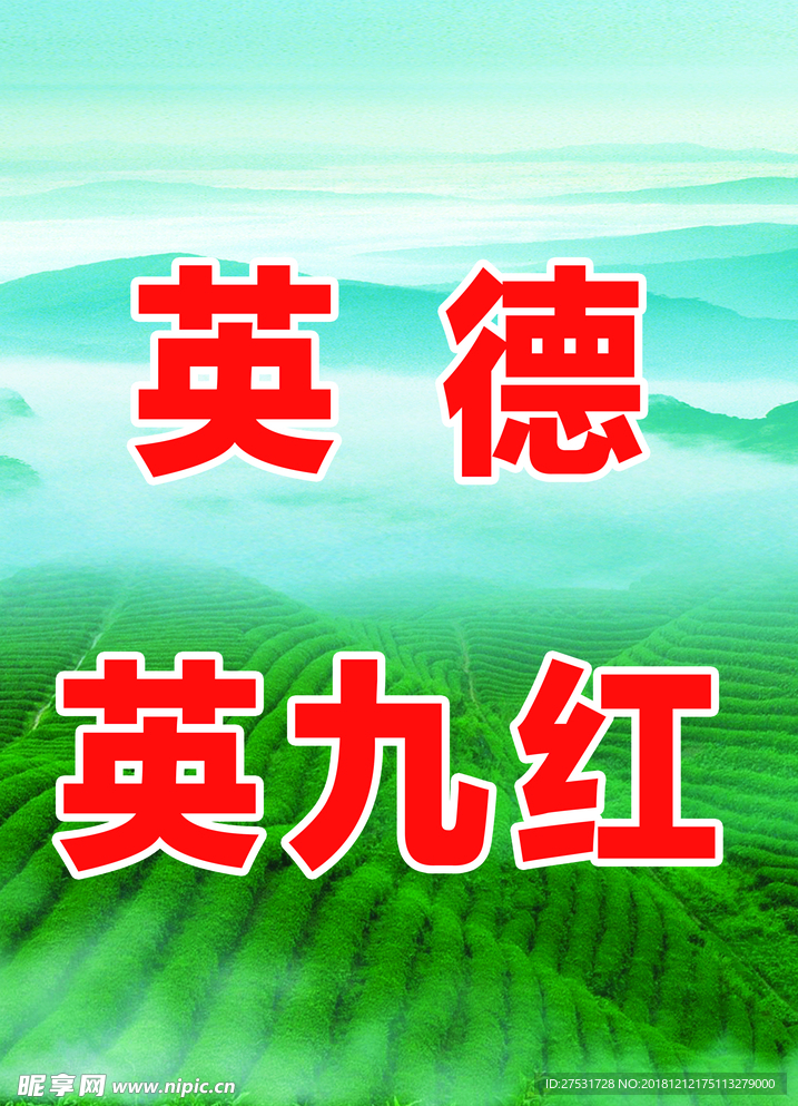 英德英九红