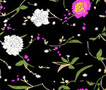 白花