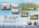 深圳之旅