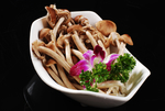蘑菇