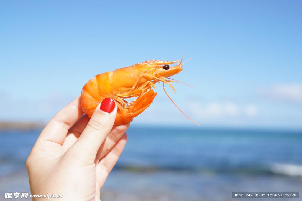 海虾