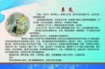 车胤