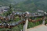 五台山 风景 古代艺术  文玩