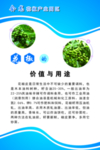 花椒