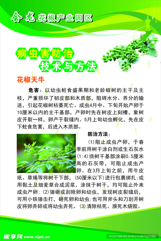 花椒