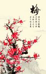 墙角数枝梅 凌寒独自开 梅花