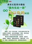 黑老丈树胶