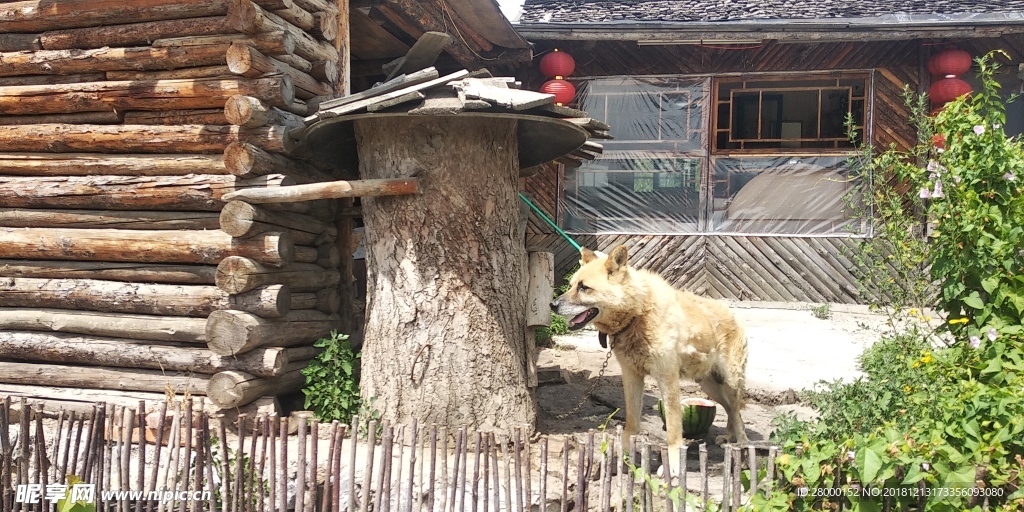 长白山锦江木屋村