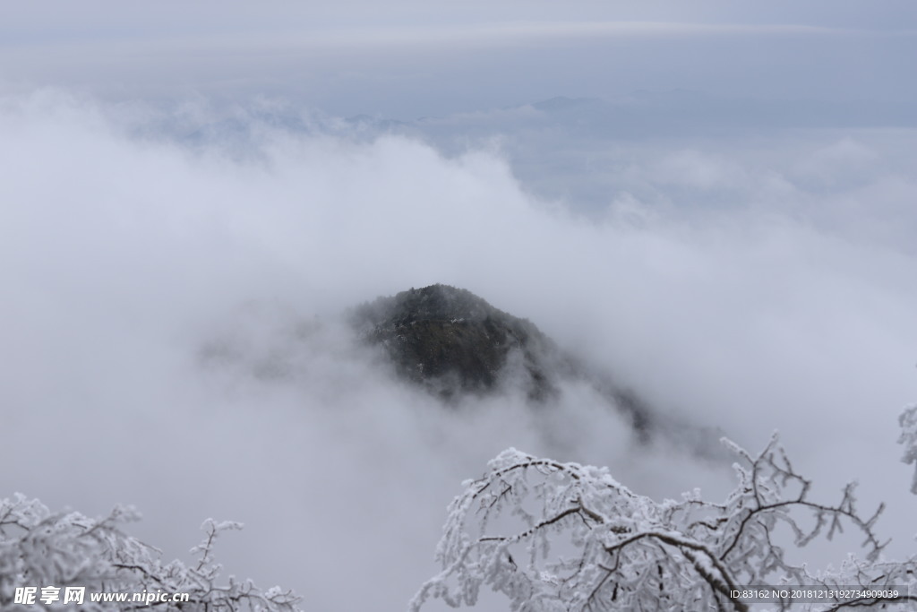 雪中花海