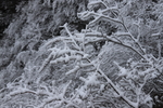 雪山