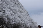 雪景