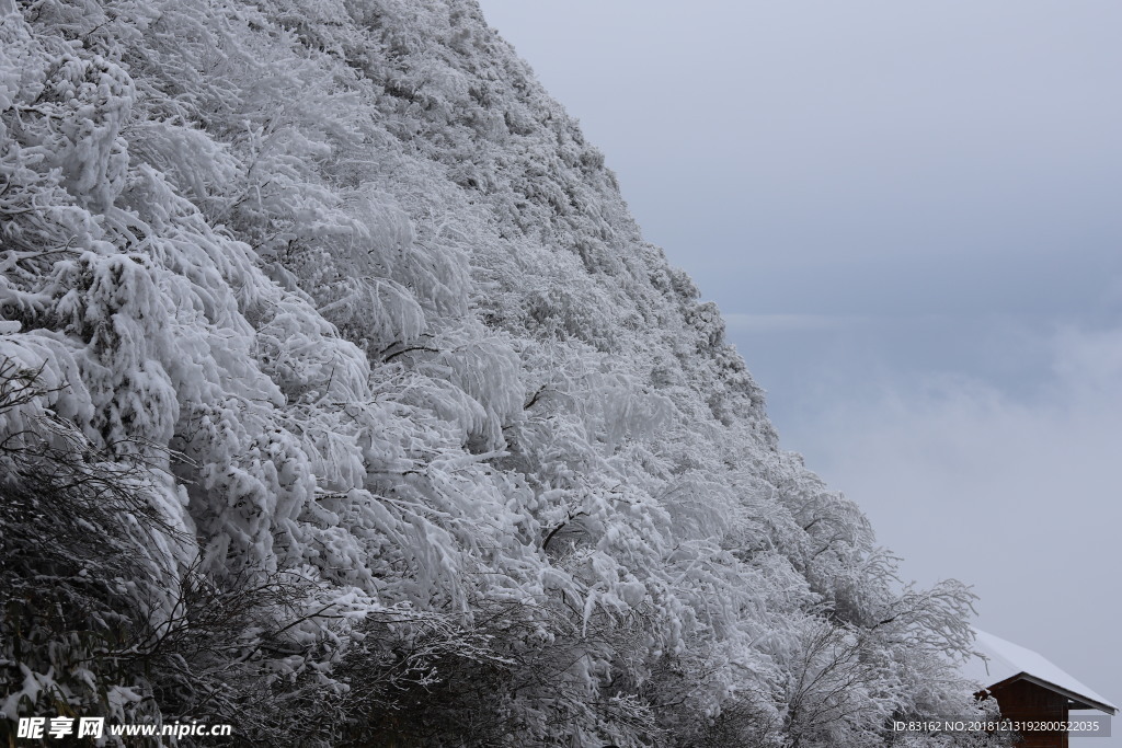 雪景