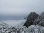 八台山云海