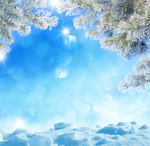 唯美的雪景
